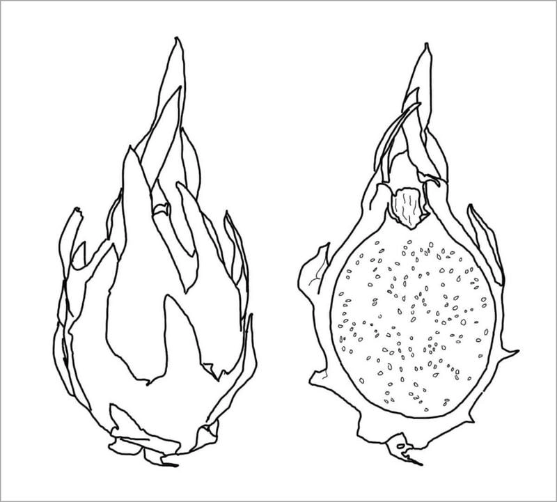 Mẫu hot nhất hình ảnh tô màu trái cây cho bé