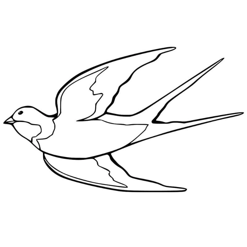 Đưa bé vào thế giới nghệ thuật qua tranh chim én tô màu sinh động trong tranh tô màu con chim