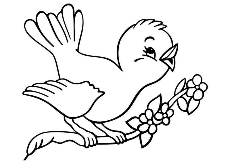 Tranh tranh tô màu chim đa dạng giúp bé phát triển kỹ năng cùng tranh tô màu con chim hấp dẫn