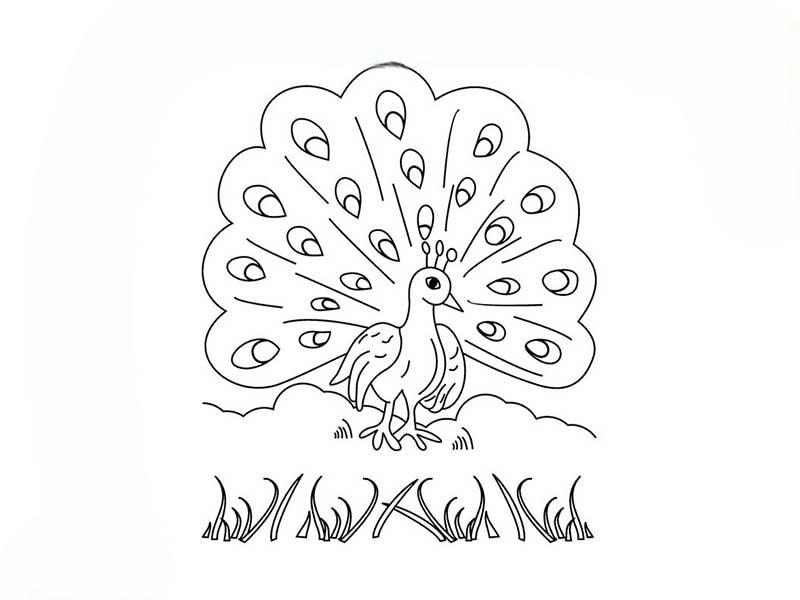 Bé phát triển tài năng với bộ tranh tô màu chim phong phú trong tranh tô màu con chim sinh động