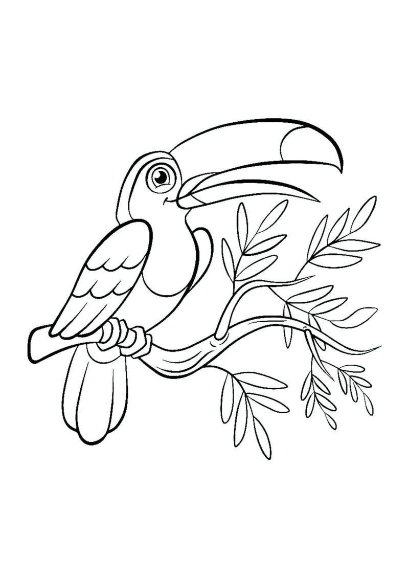 Sưu tập tranh tô màu con chim đẹp giúp bé thỏa sức sáng tạo cùng tranh tô màu con chim thú vị