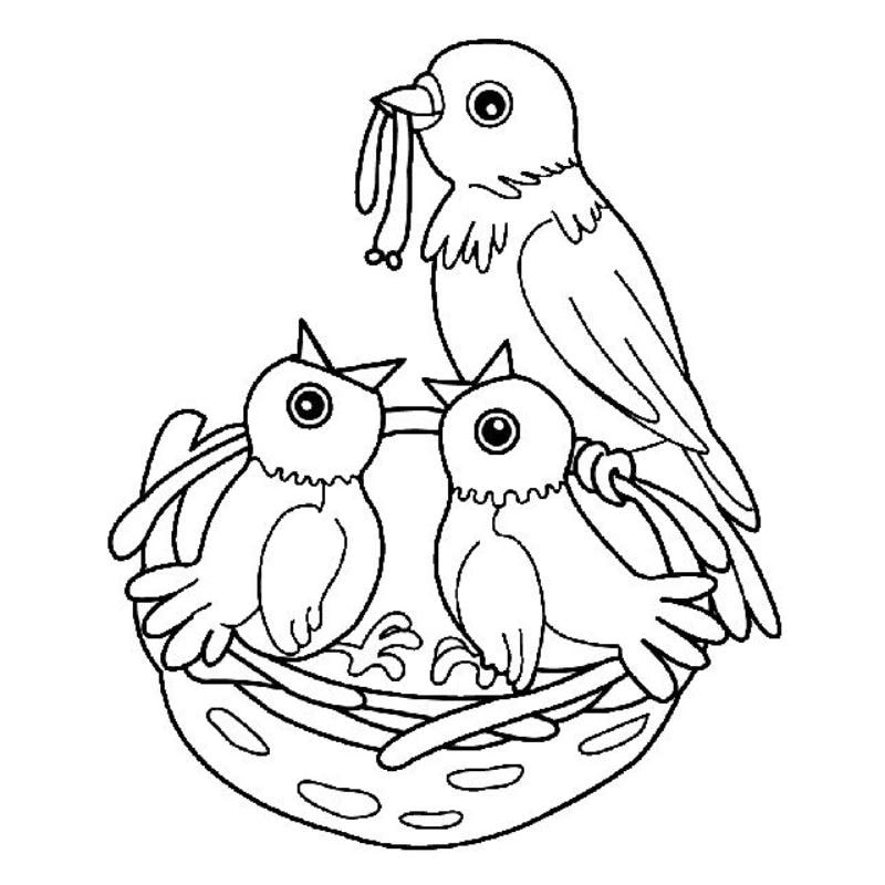 Sáng tạo không giới hạn với hình ảnh tô màu con chim đa dạng thuộc tranh tô màu con chim vui nhộn