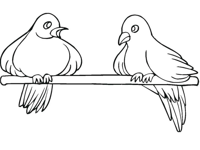 Tranh con chim tô màu phong phú mang đến niềm vui học tập và sáng tạo tranh tô màu con chim