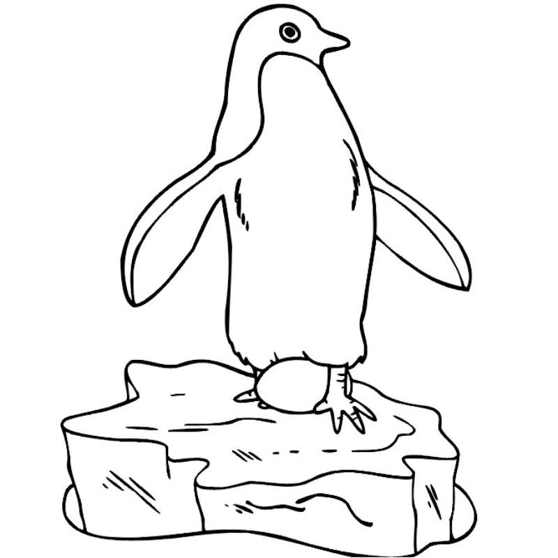 Bé yêu thích nghệ thuật với bộ hình tô màu chim cánh cụt đa dạng trong tranh tô màu con chim