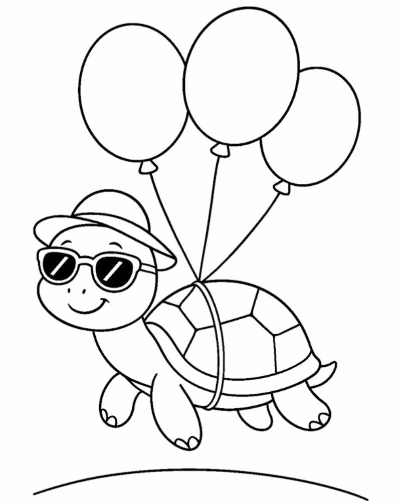 Sáng tạo mỗi ngày cùng bé với tô màu hình con rùa cực đẹp