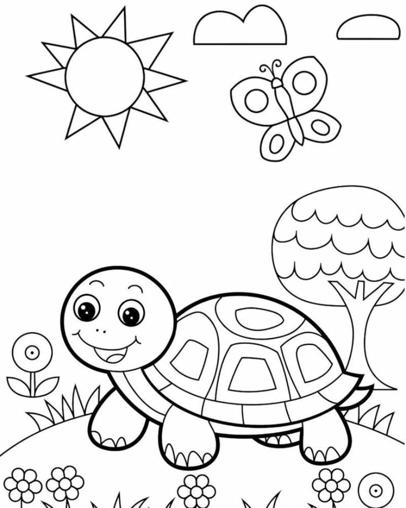 Tranh tô màu con rùa là như thế nào