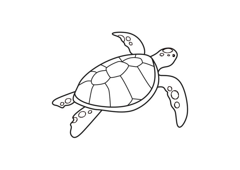 Top mẫu tranh tô màu con rùa đẹp dễ tải và dễ tô cho bé