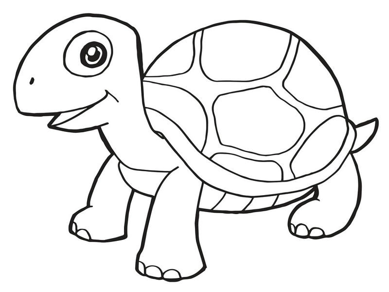 Ngoài tranh tô màu con rùa thử ngay tranh tô màu con bọ rùa