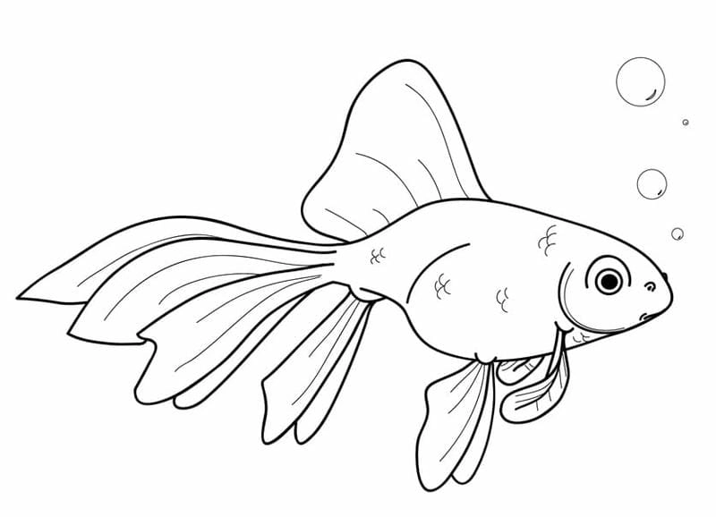 Tìm hiểu đại dương với tranh tô màu động vật sống dưới nước