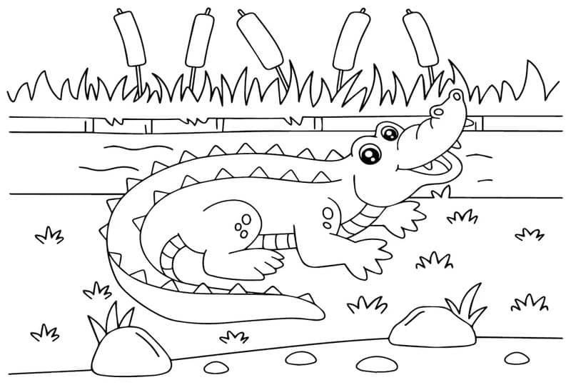 Trọn bộ mẫu tô màu động vật dưới nước hấp dẫn cho bé