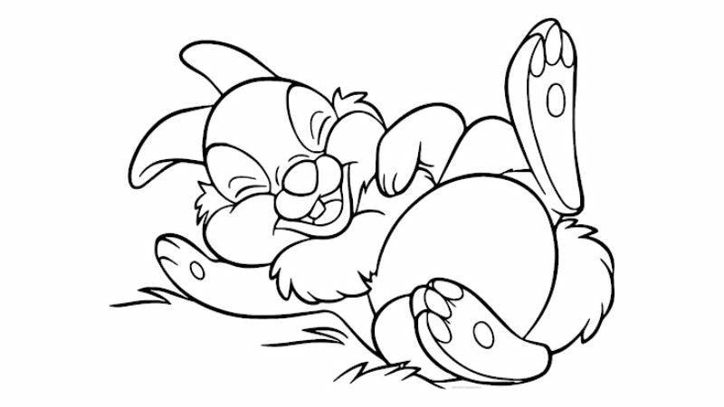 Học về thiên nhiên cùng tranh tô màu động vật hoang dã