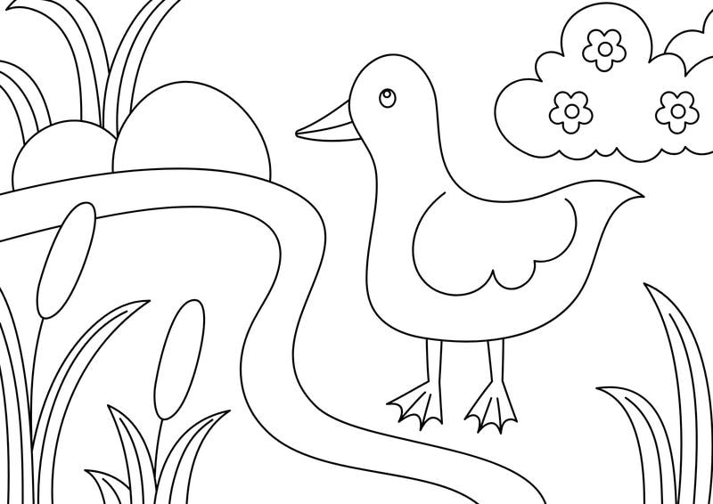 Phát triển tư duy sáng tạo khi bé tô màu động vật đa dạng