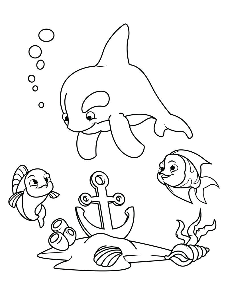 Bé học và chơi cùng bộ tranh tô màu động vật cho bé