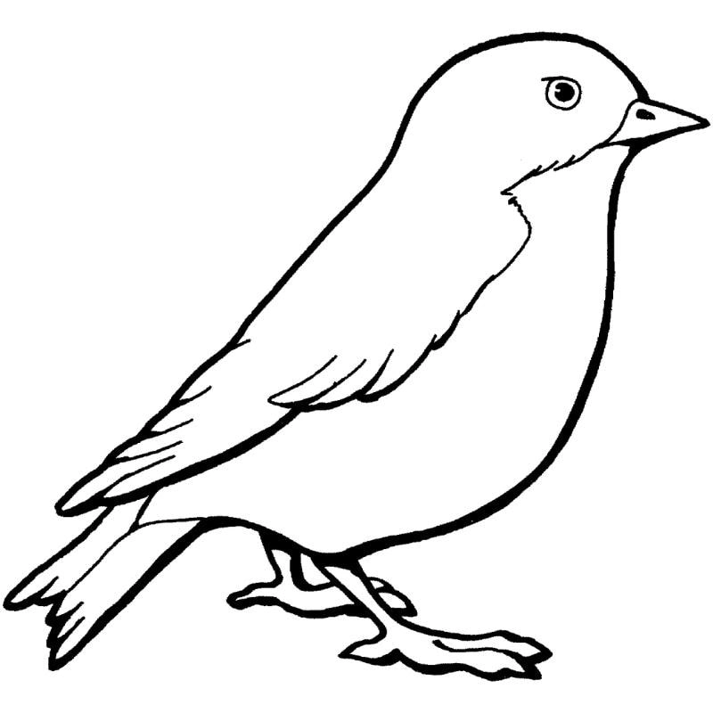 Bé sẽ thích mê với loạt tranh tô màu động vật dễ thương