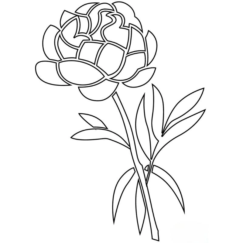 Sáng tạo không giới hạn cùng tranh tô màu hoa hồng và tô màu hình vẽ hoa hồng
