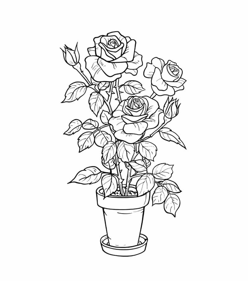 Bé yêu thích nghệ thuật với tranh tô màu hoa hồng và tranh tô màu cây hoa hồng