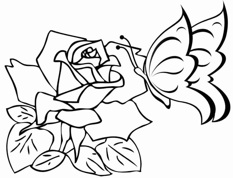 Khơi dậy đam mê nghệ thuật qua tranh tô màu hoa hồng và tô màu vẽ hoa hồng