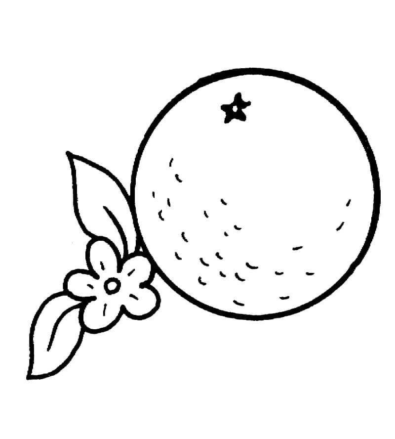 Khám phá thế giới màu sắc qua mẫu tô màu quả cam