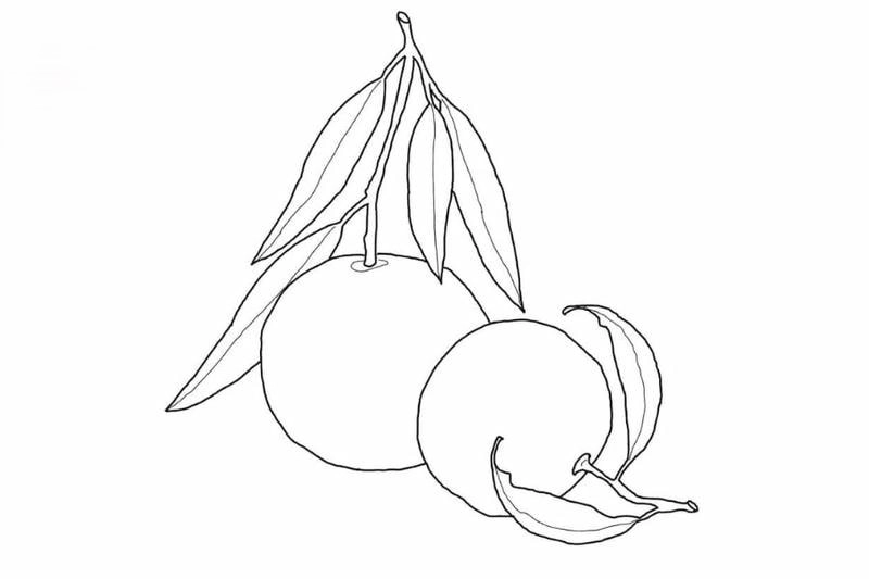 Tranh quả cam tô màu giúp bé nhận biết trái cây tươi ngon