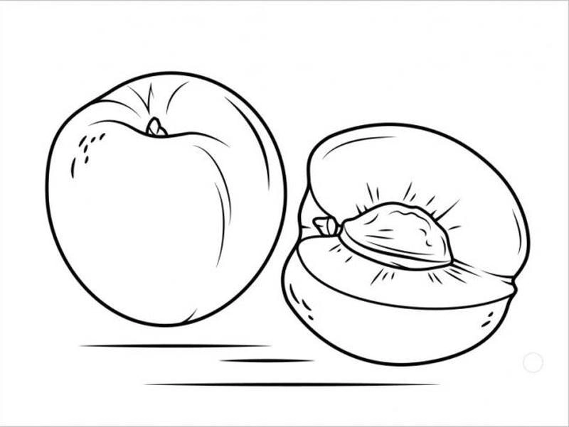 Sáng tạo cùng mẫu tô màu quả mận đầy màu sắc