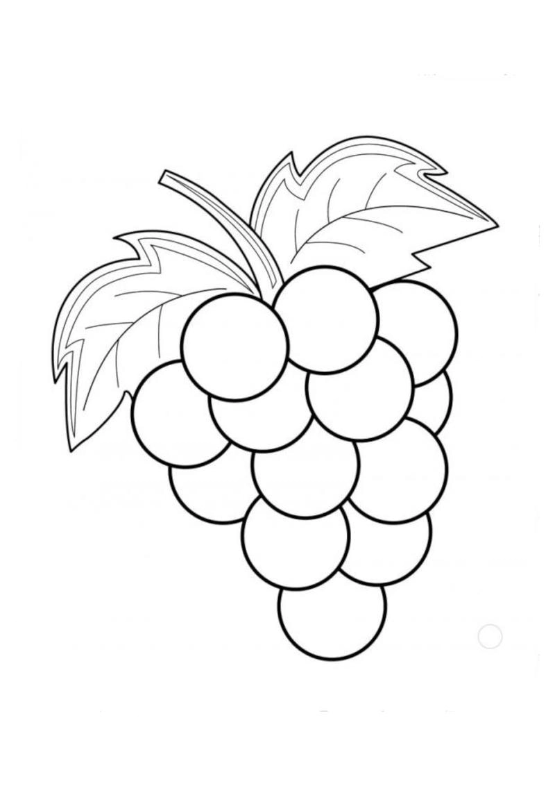 Bé vui học với bộ tranh tô màu quả nho tươi ngon hấp dẫn