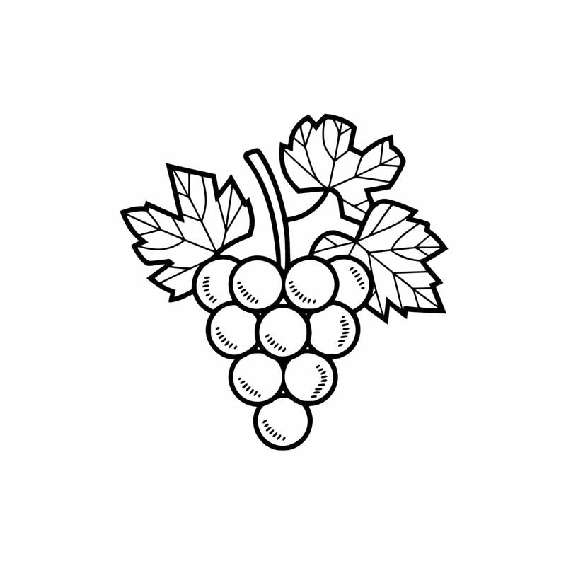 Tranh tô màu quả nho giúp bé sáng tạo màu sắc tuyệt vời