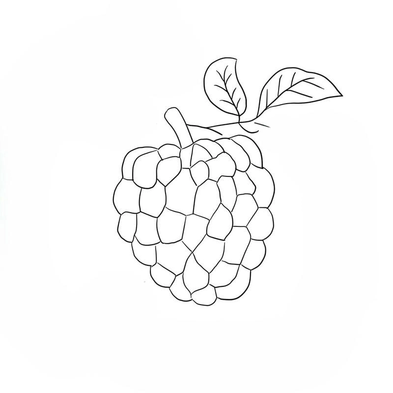 Khám phá bộ tranh tô màu quả na sinh động cho bé học vui