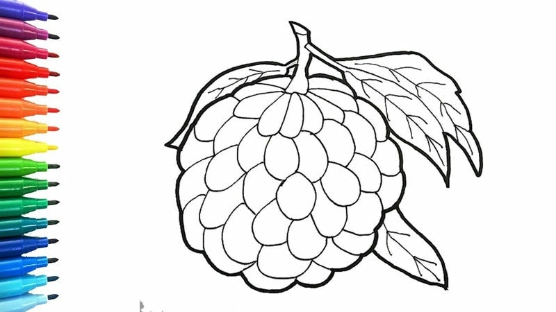 Bé thỏa sức với mẫu tô màu quả na đơn giản dễ tô