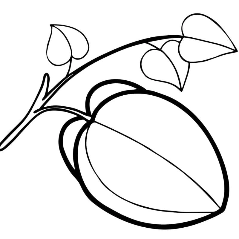 Tranh tô màu quả khế cực dễ thương cho bé tập tô