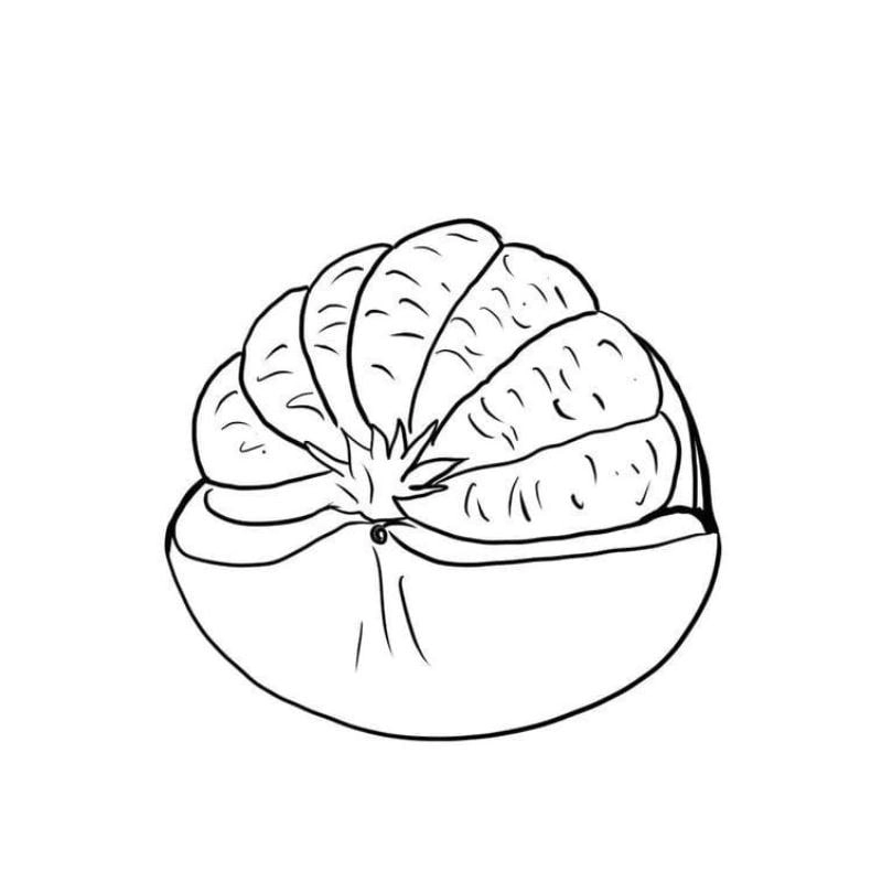 Tranh tô màu quả bưởi ngộ nghĩnh cho bé học tô màu