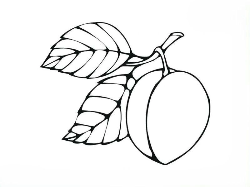 Tô màu quả đào giúp bé làm quen trái cây mùa hè