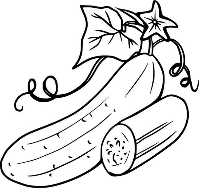 Tranh tô màu quả mướp giúp bé biết thêm rau củ Việt