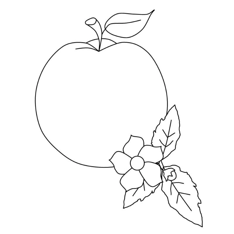 Tạo nét nghệ thuật qua tranh táo đẹp tô màu quả táo bắt mắt
