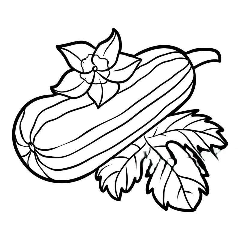 Tranh tô màu quả bí xanh đơn giản mà đáng yêu