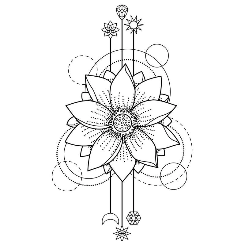 Tô màu hoa sen đơn giản dành cho bé yêu tranh tô màu hoa sen xinh