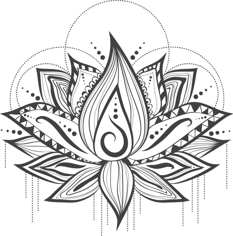 Tô màu hoa sen cho bé phát triển kỹ năng tranh tô màu hoa sen bổ ích