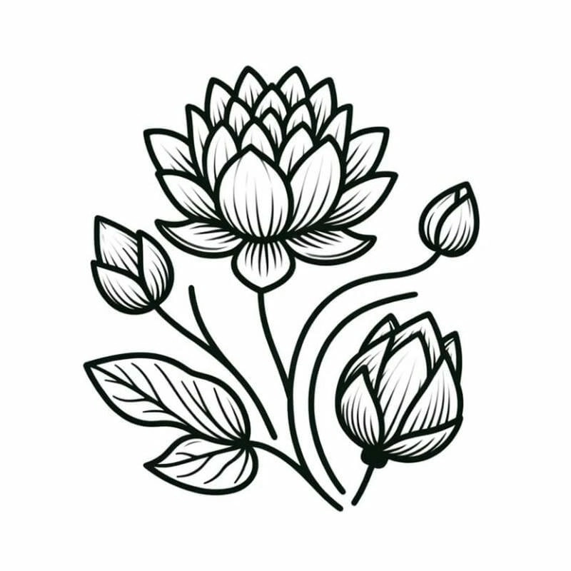 Gợi ý những sắc đẹp nhất cho hoa sen tô màu gì chuẩn ý nghĩa