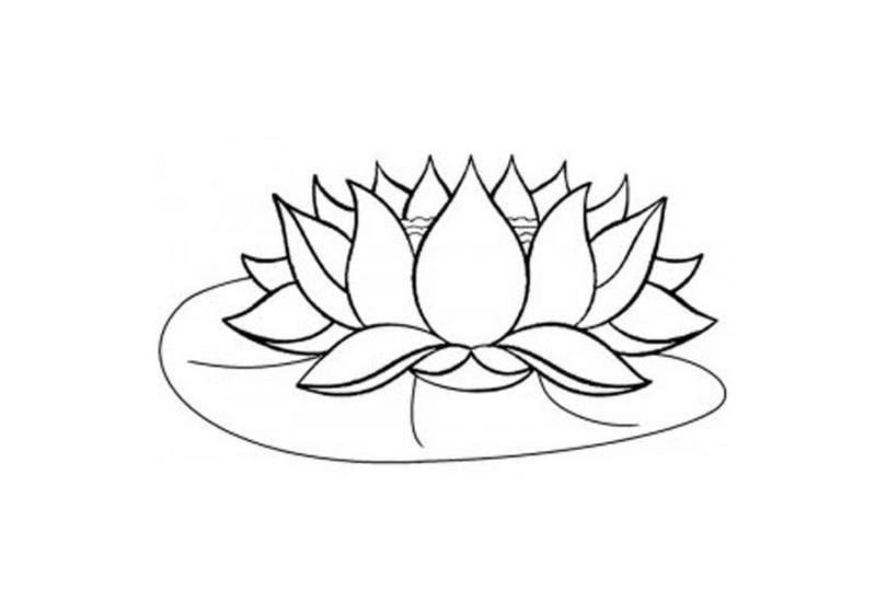 Tranh tô tô màu hoa sen đẹp cho bé tập tranh tô màu hoa sen