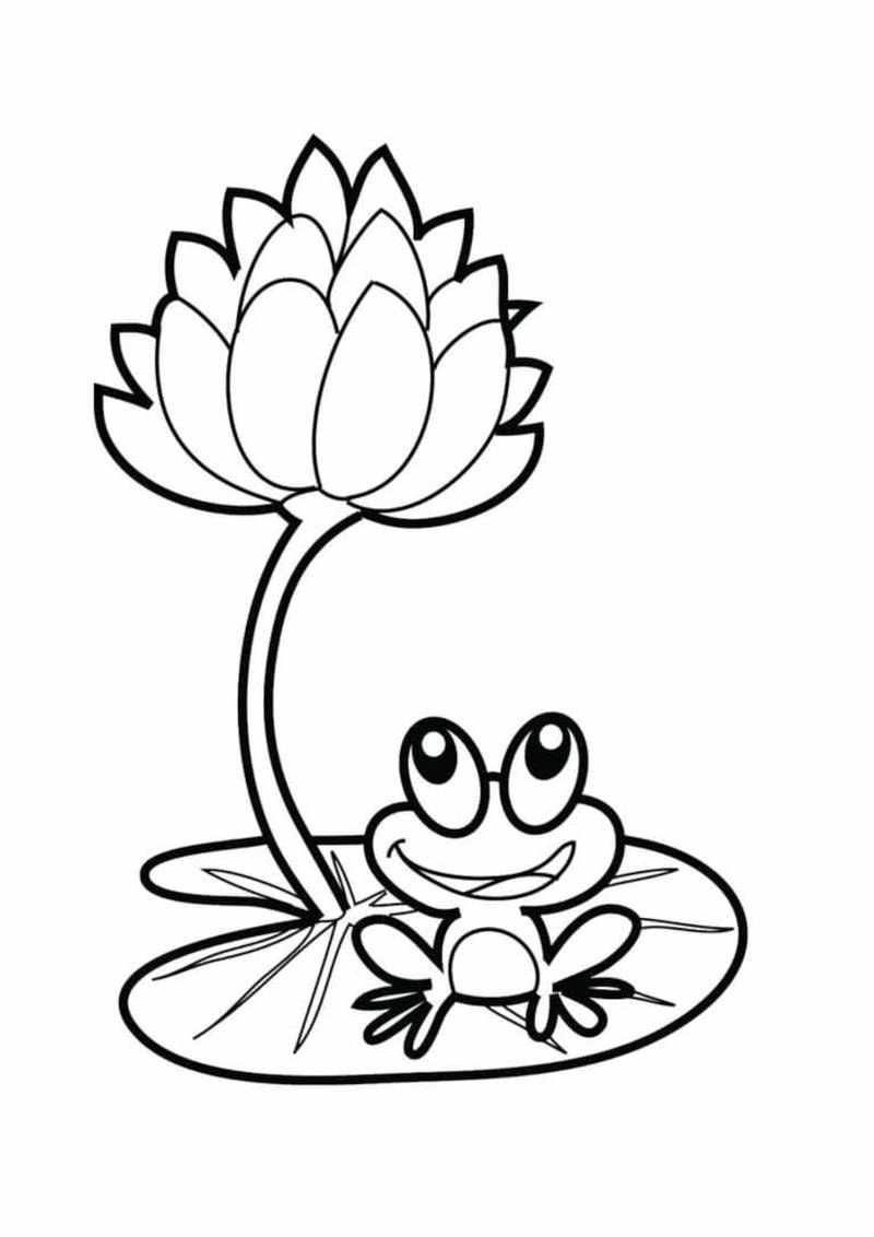 Tận hưởng tranh tô màu hoa sen đơn giản dễ tô tranh tô màu hoa sen