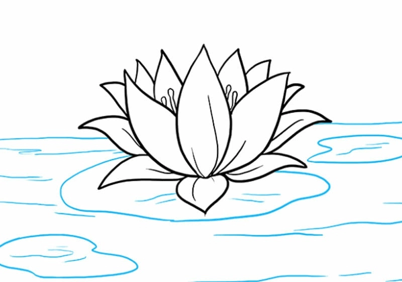Tranh rỗng tô màu hoa sen giúp bé tô tranh tô màu hoa sen thoả thích