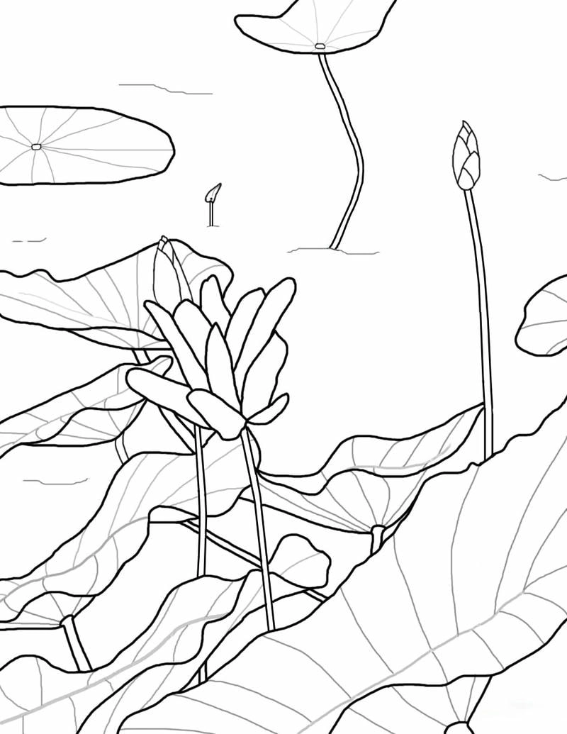 Bộ tranh hoa sen tô màu phong phú tranh tô màu hoa sen tuyệt đẹp