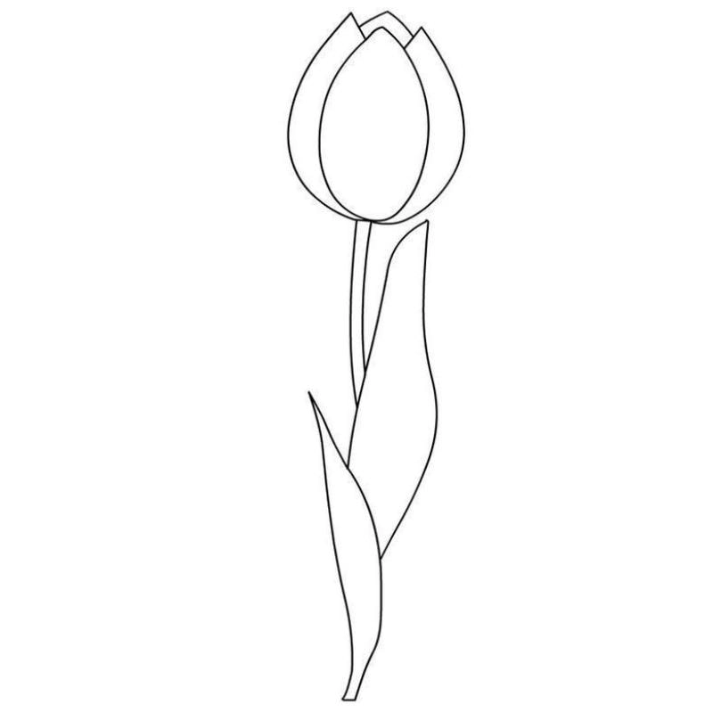 Khám phá bộ sưu tập tô màu hoa tulip cực đẹp