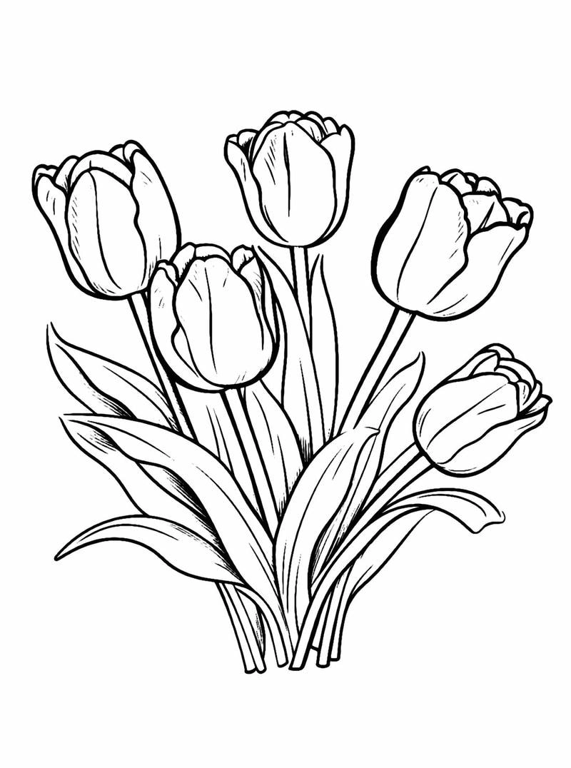 Gợi ý ý tưởng tô màu hoa tulip đẹp nhẹ nhàng