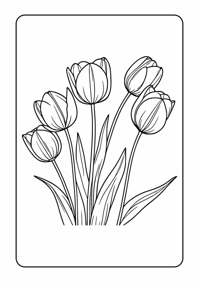 Bé thích mê bộ to mau hoa tulip sáng tạo