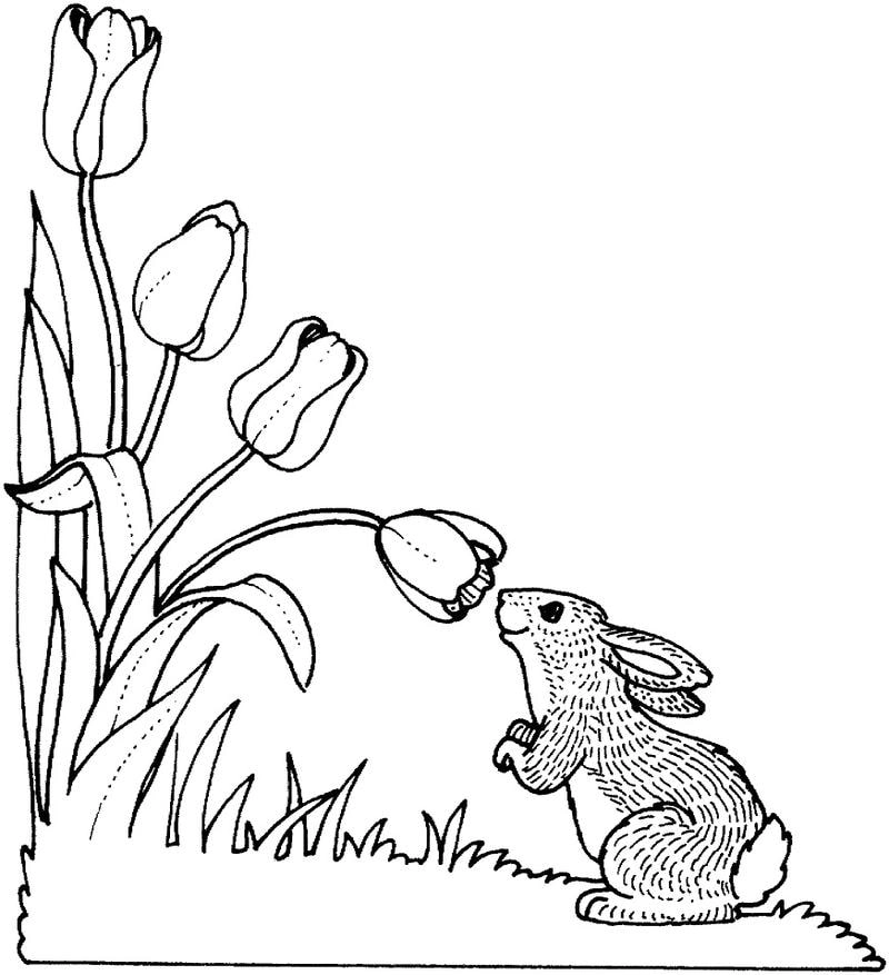 Gợi ý hình tô màu hoa tulip đơn giản cho bé