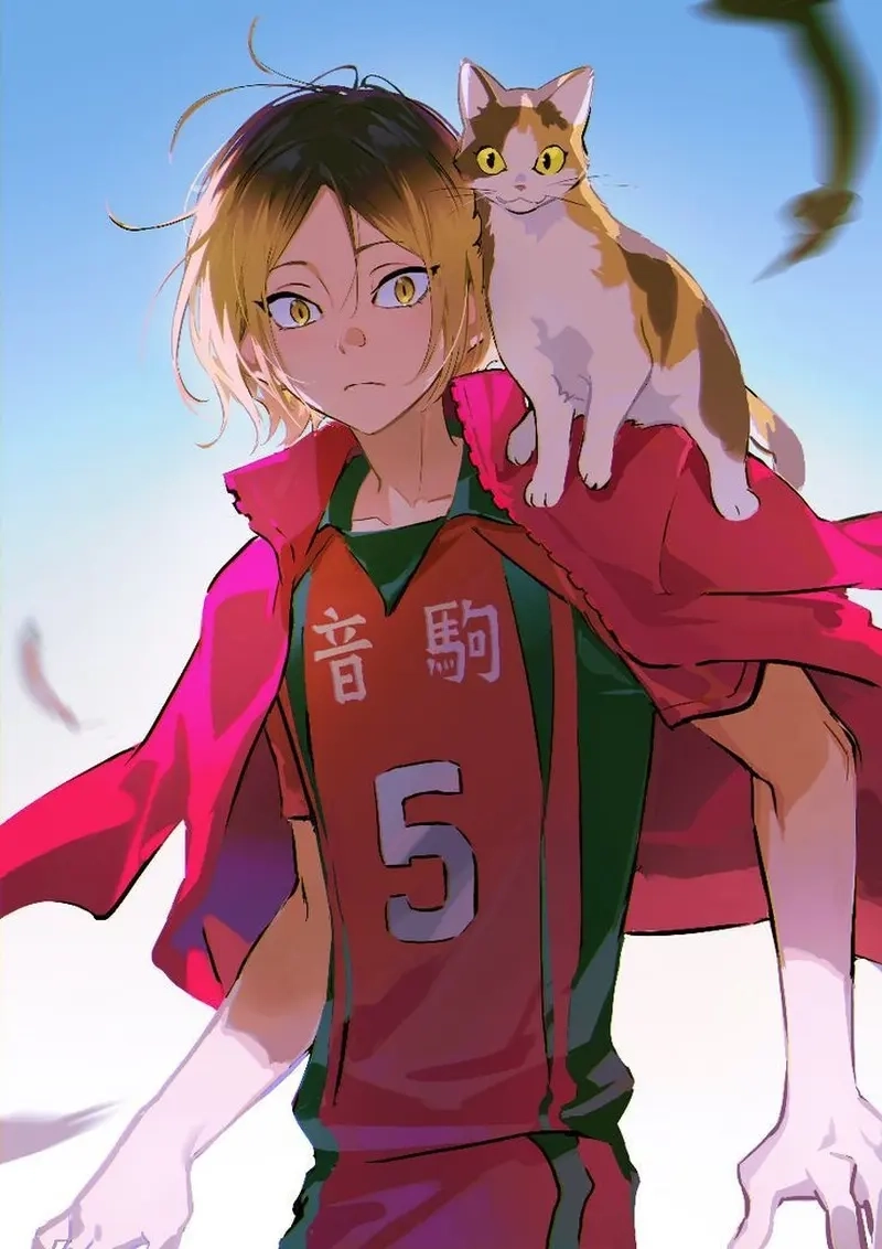Top khoảnh khắc đáng nhớ của Kenma Anime khiến fan xúc động
