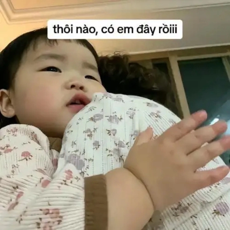 Giải trí siêu vui với meme an ủi hài trending