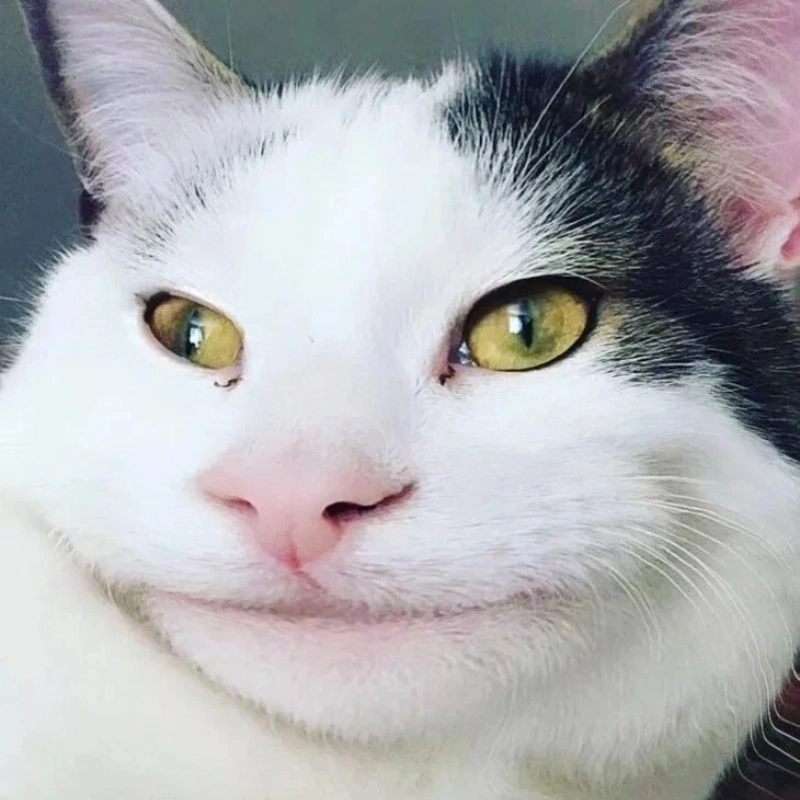 Khi bạn lướt Facebook và thấy drama chỉ muốn thả meme khinh bỉ