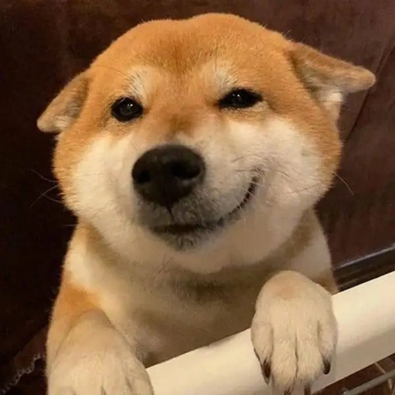 Lưu ngay hình ảnh khinh bỉ sắc nét để dùng khi cãi nhau online