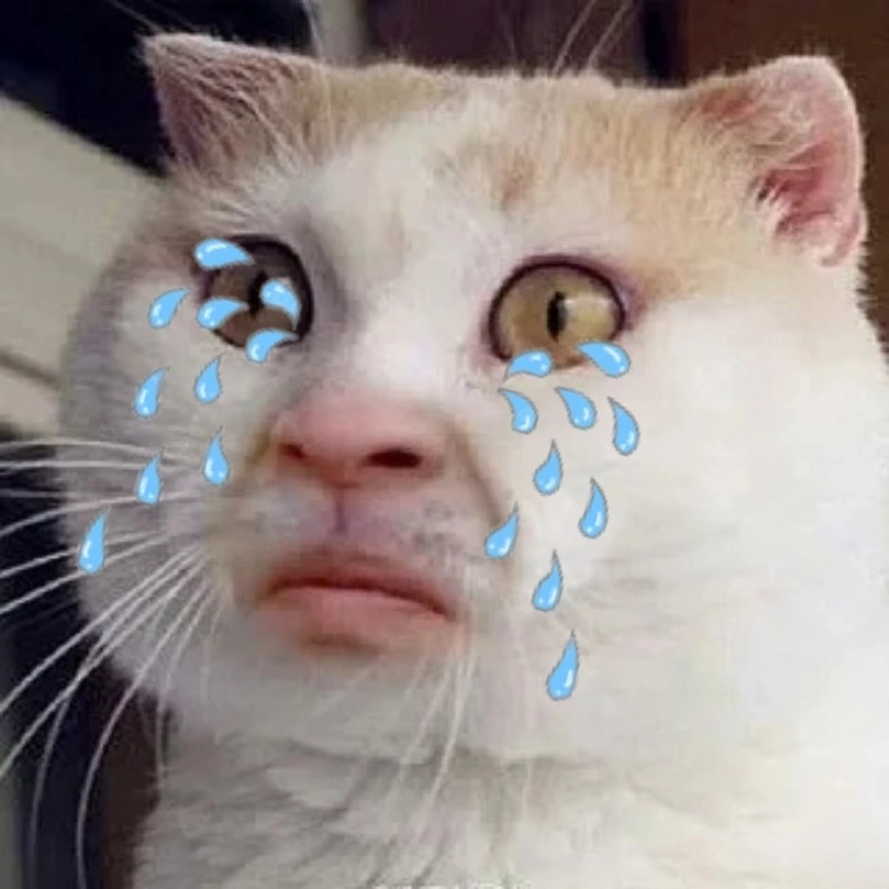 Bộ sưu tập ảnh meme mèo khóc cực hài hước cho dân nghiện meme